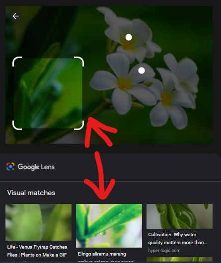Use Google Lens on PC 6