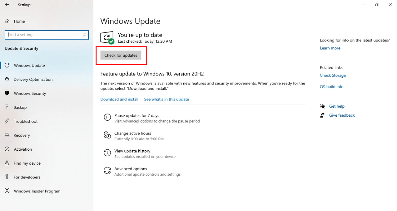 Windows 10 Check for updates option