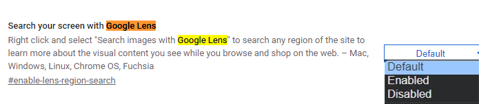 activate Google Lens on Chrome 5